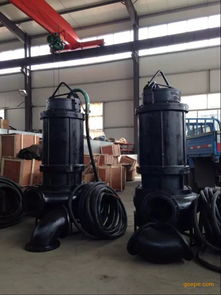 沙廠沉淀池渣漿泵 污泥泵 泥漿泵圖片 高清大圖 谷瀑環(huán)保