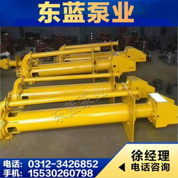 型雙吸泵,zjl液下渣漿泵,臥式渣漿泵 安國(guó)市東藍(lán)水泵廠