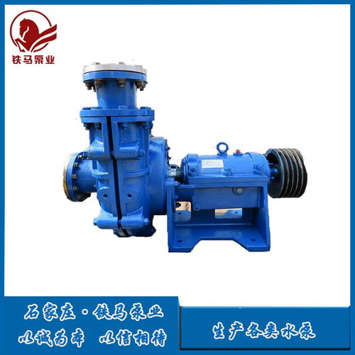 優(yōu)勢(shì) 平陽(yáng)8 6e g4寸細(xì)沙渣漿泵廠(chǎng)家