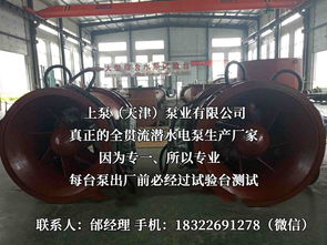 探索流體世界的隱秘力量 潛水貫流泵、全貫流閘門(mén)泵、燈泡泵與臥式全貫流泵技術(shù)解析